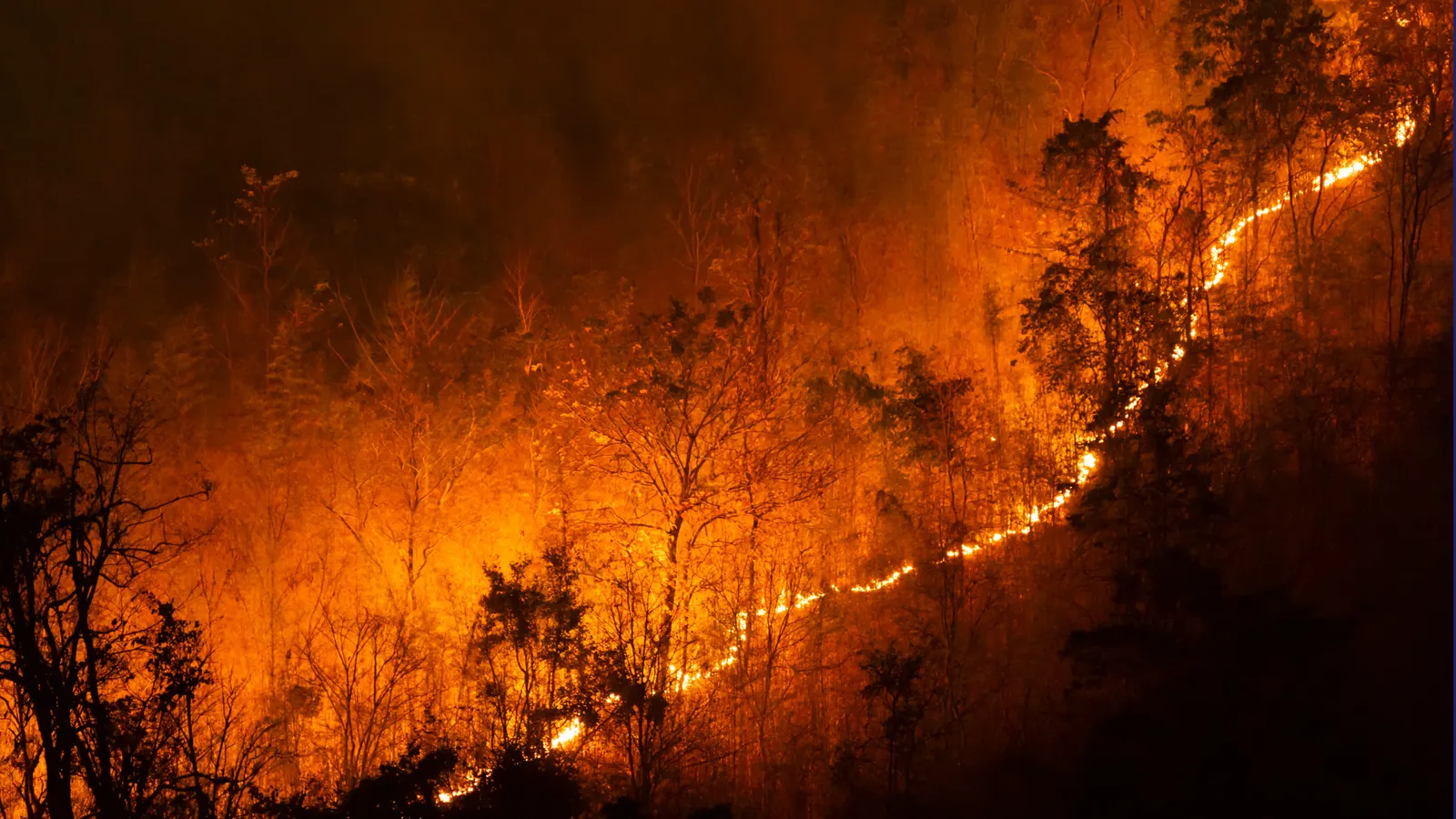 California Wildfires Rage Across Los Angeles
